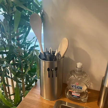 Flora,centre Reims,parking Prive *